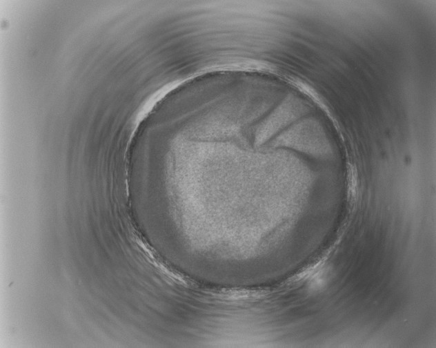 X0000054440829200508270010