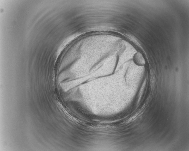 X0000054440831200508270010