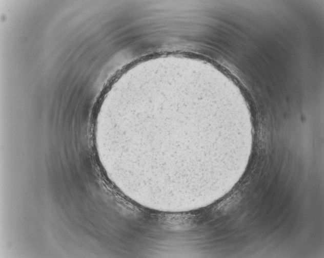 X0000054440832200508270010