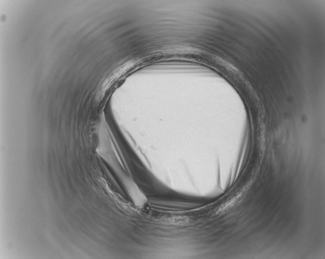 X0000054440833200508270010