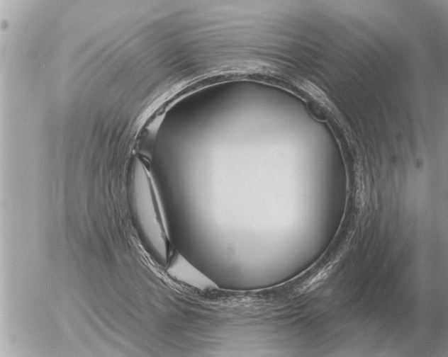 X0000054440834200508270010