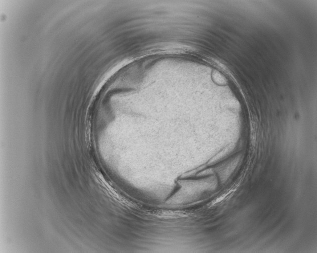 X0000054440835200508270010