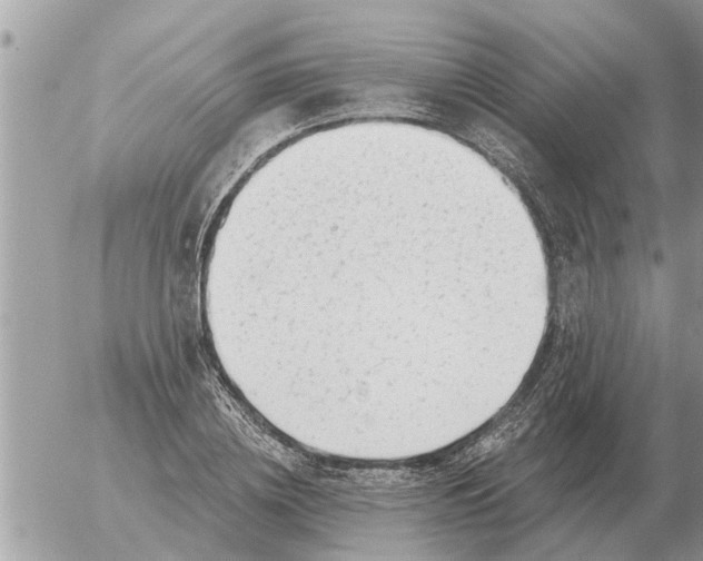 X0000054440836200508270010