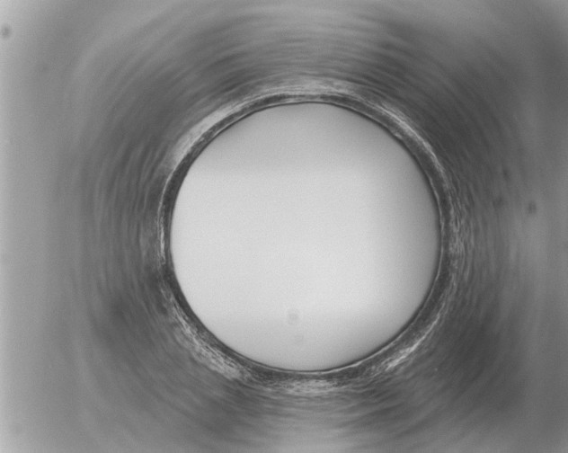 X0000054440837200508270010