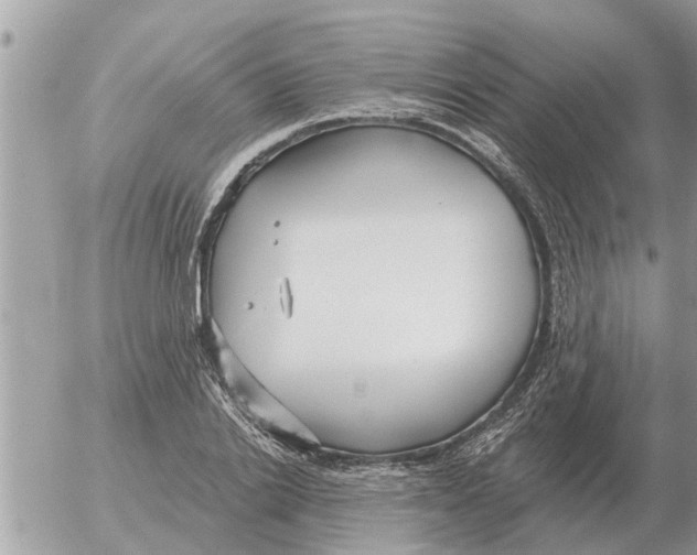 X0000054440838200508270010