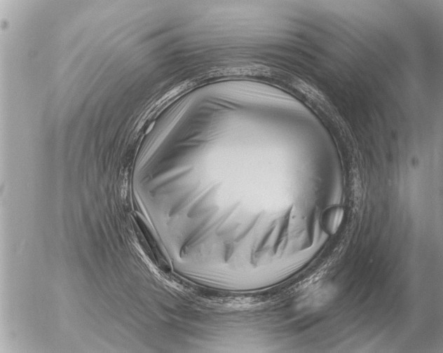 X0000054440841200508270010