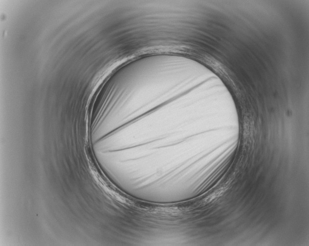 X0000054440844200508270011