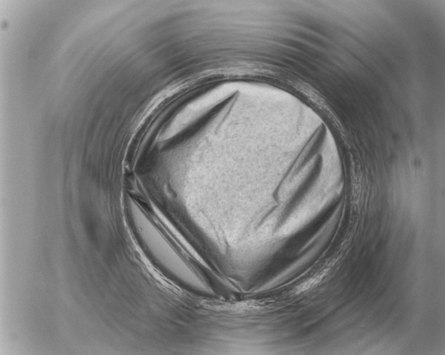 X0000054440845200508270011