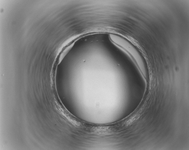 X0000054440846200508270011