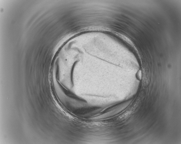 X0000054440847200508270011