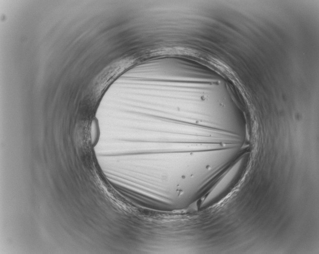 X0000054440849200508270011