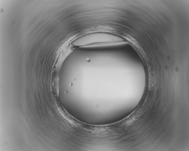 X0000054440850200508270011