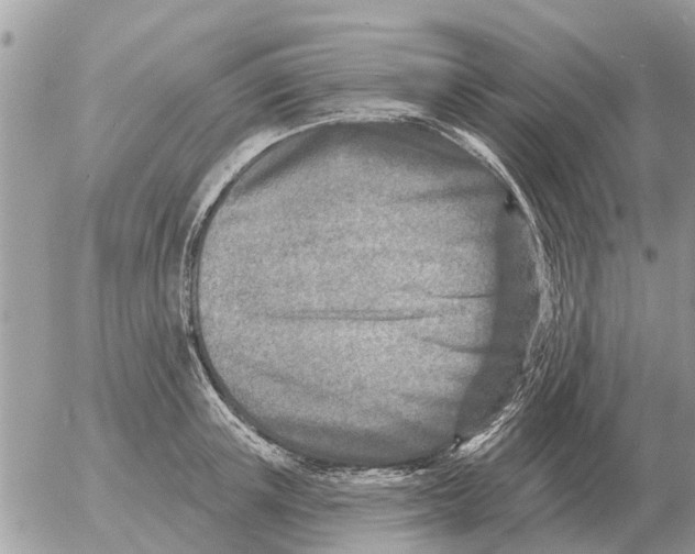 X0000054440851200508270011