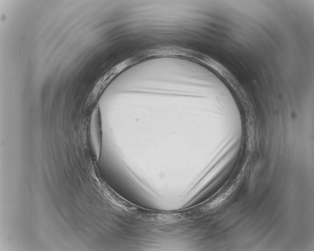 X0000054440857200508270011