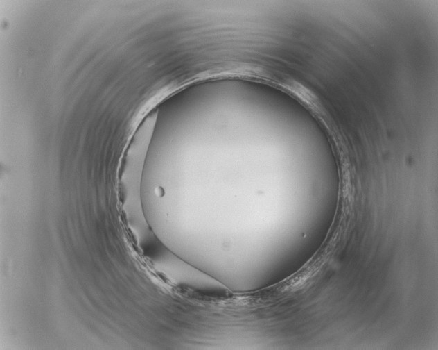 X0000054440858200508270011