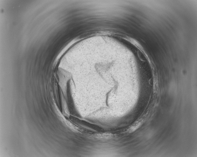 X0000054440859200508270011