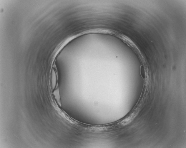 X0000054440860200508270011