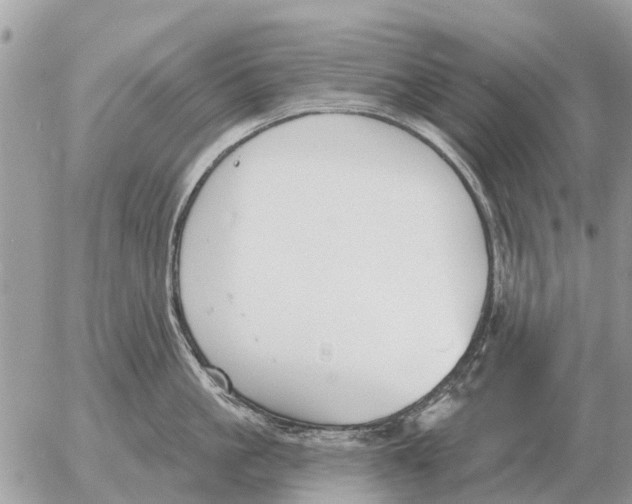 X0000054440861200508270011