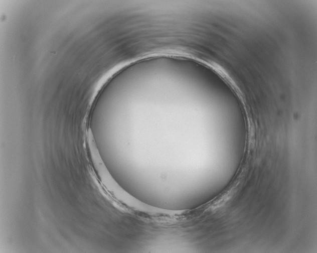 X0000054440862200508270011