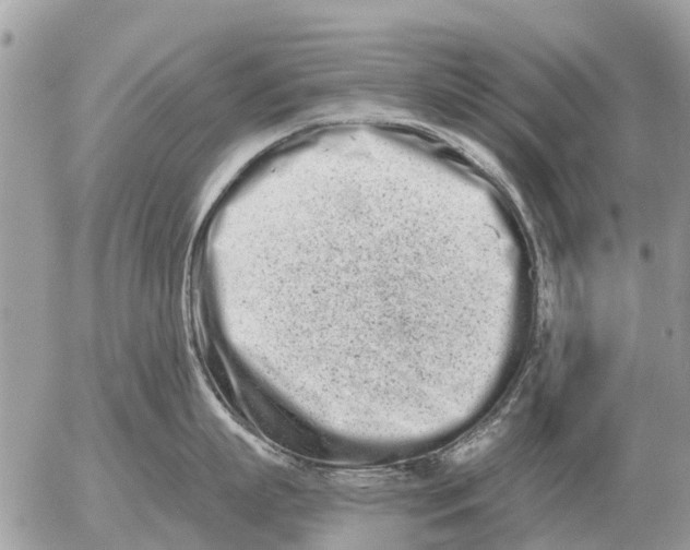 X0000054440863200508270011