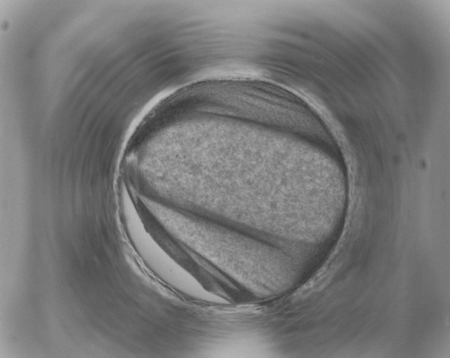 X0000054440864200508270011