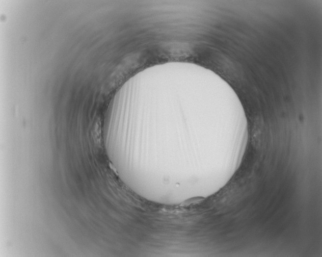 X0000054440866200508270010