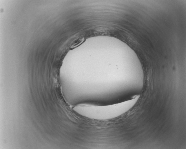 X0000054440868200508270010