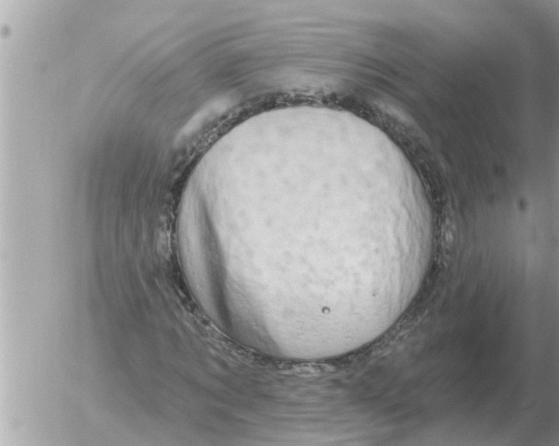 X0000054440869200508270010