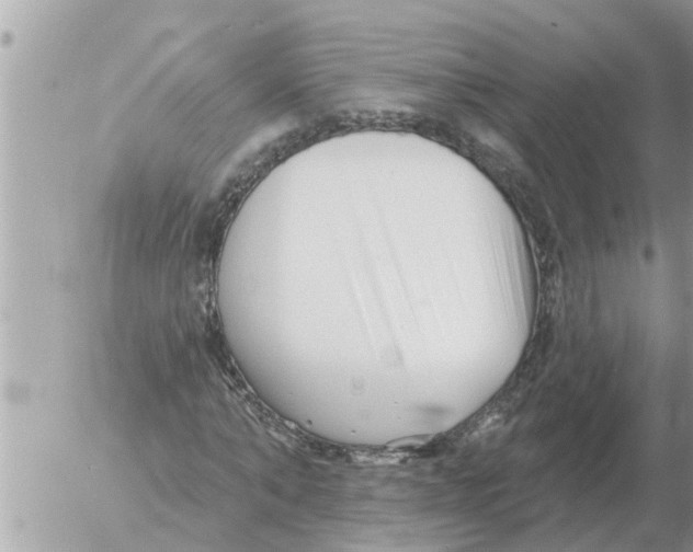 X0000054440870200508270010