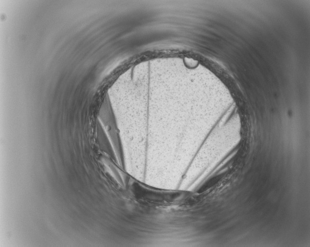 X0000054440871200508270010