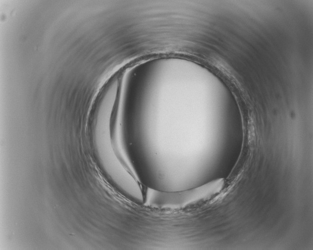 X0000054440876200508270010