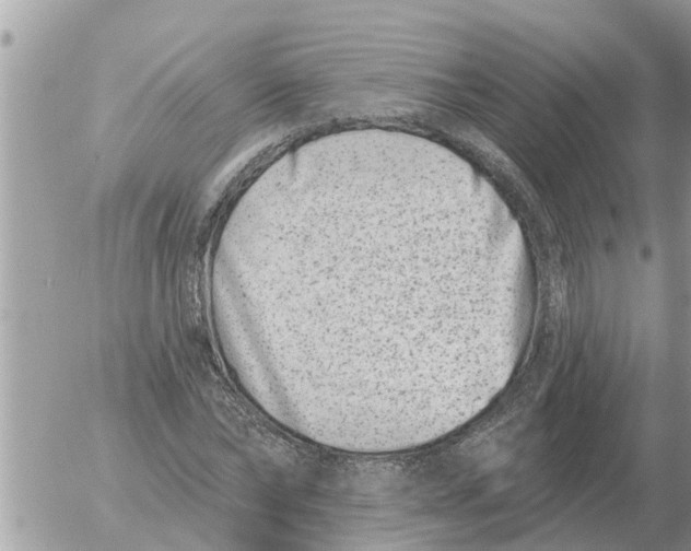 X0000054440878200508270010