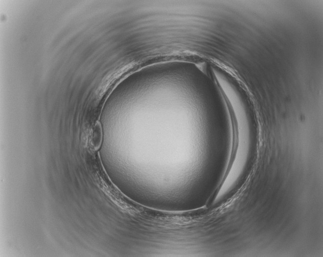 X0000054440881200508270010