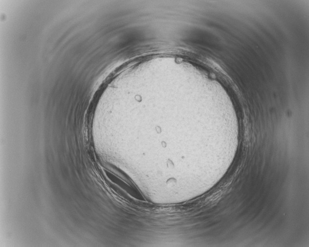 X0000054440883200508270010