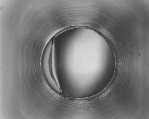 X0000054440884200508270010