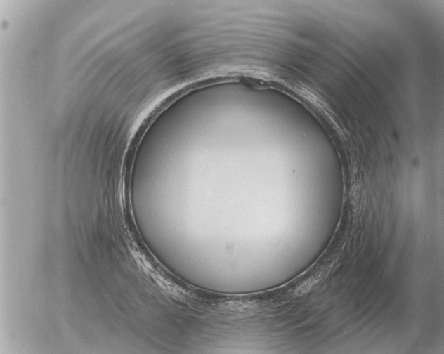 X0000054440888200508270010