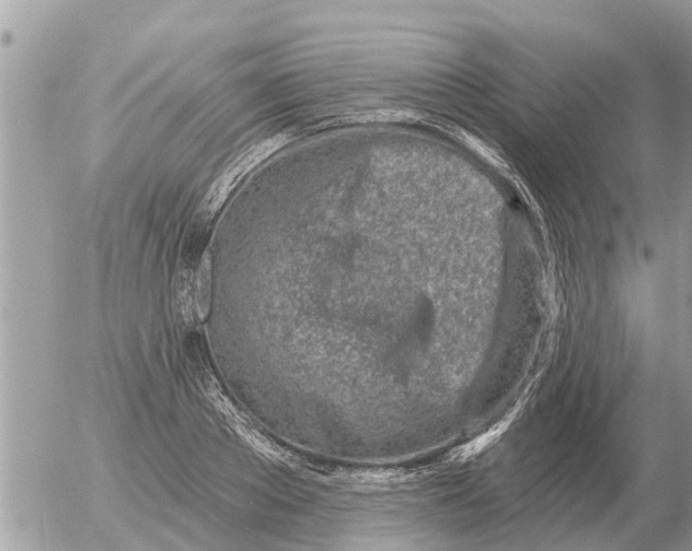 X0000054440889200508270010