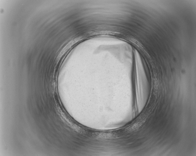 X0000054440890200508270010