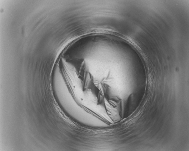 X0000054440891200508270010