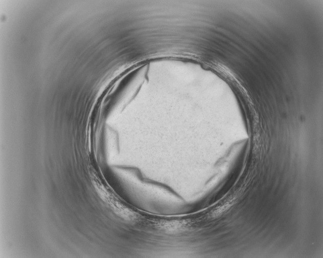 X0000054440892200508270010