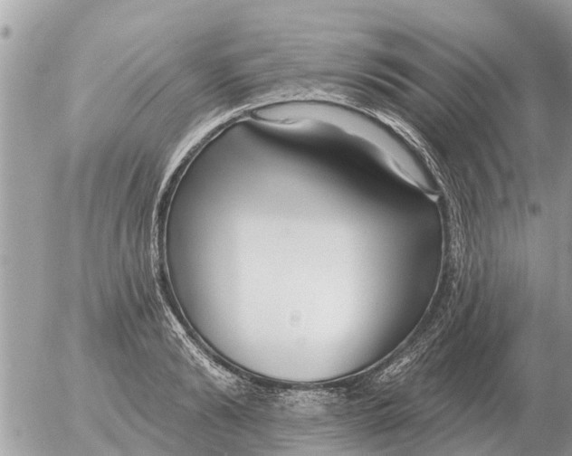 X0000054440894200508270010