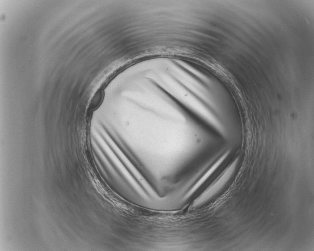 X0000054440896200508270010