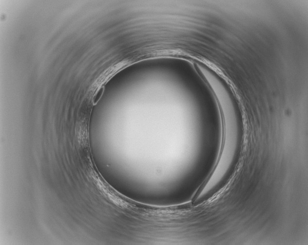 X0000054440897200508270010