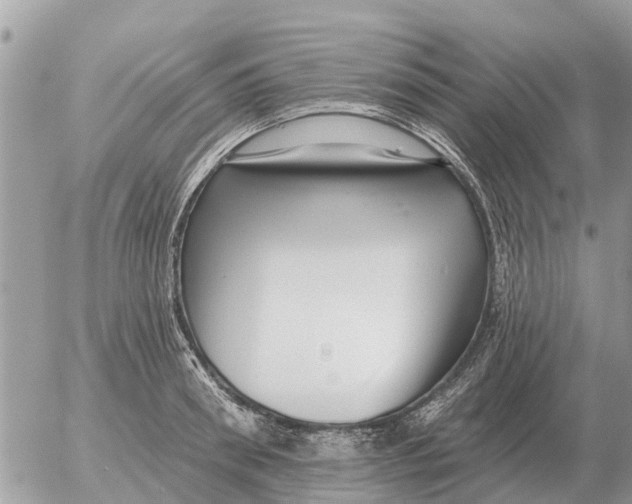 X0000054440898200508270010