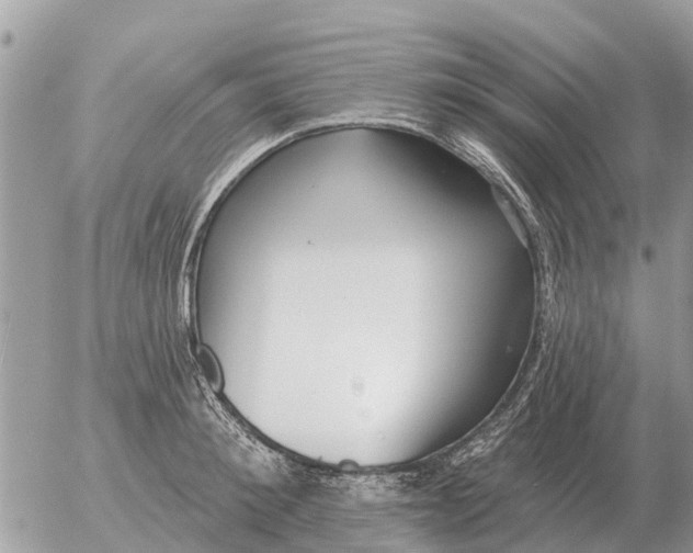 X0000054440900200508270009