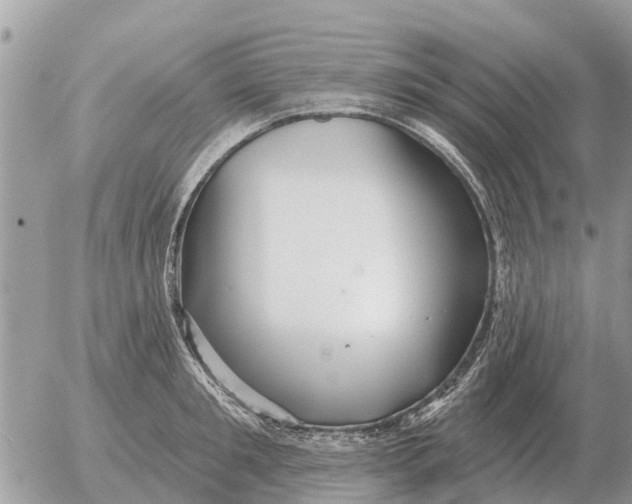 X0000054440901200508270009