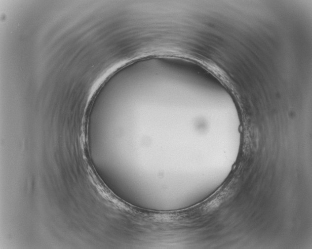 X0000054440904200508270009