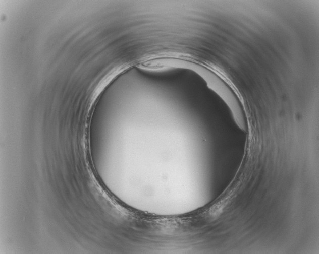 X0000054440906200508270009