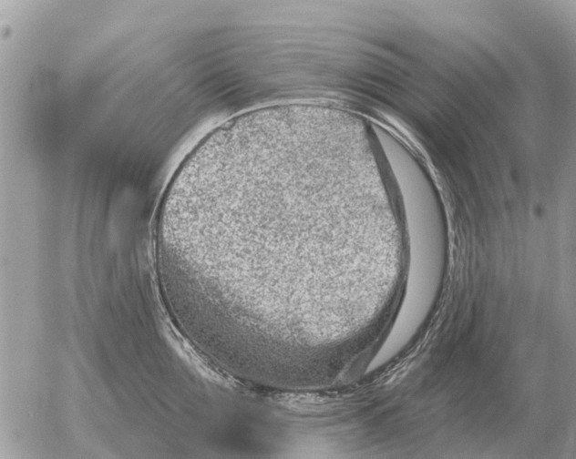 X0000054440907200508270009