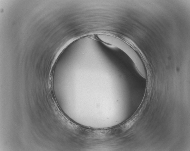 X0000054440908200508270009